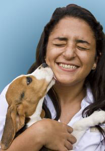 Pets