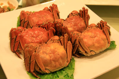 Hairy Crabs